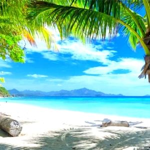 Meet your Posher, Valerie